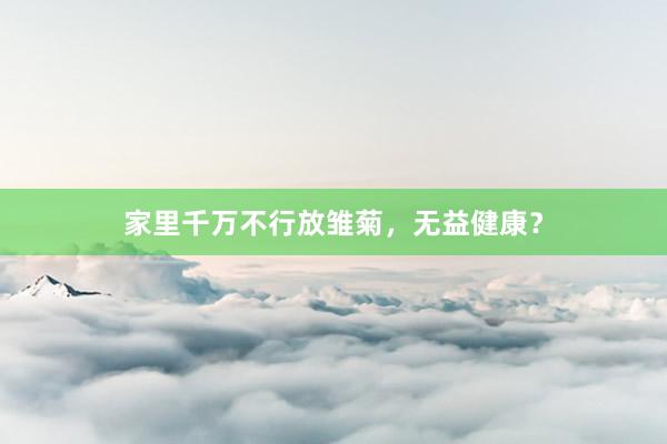 家里千万不行放雏菊，无益健康？