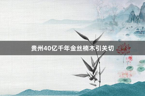 贵州40亿千年金丝楠木引关切
