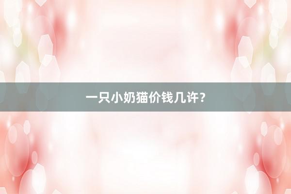 一只小奶猫价钱几许?