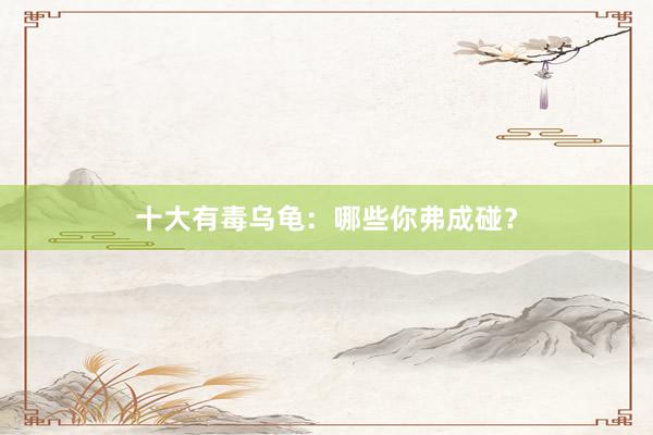 十大有毒乌龟：哪些你弗成碰？